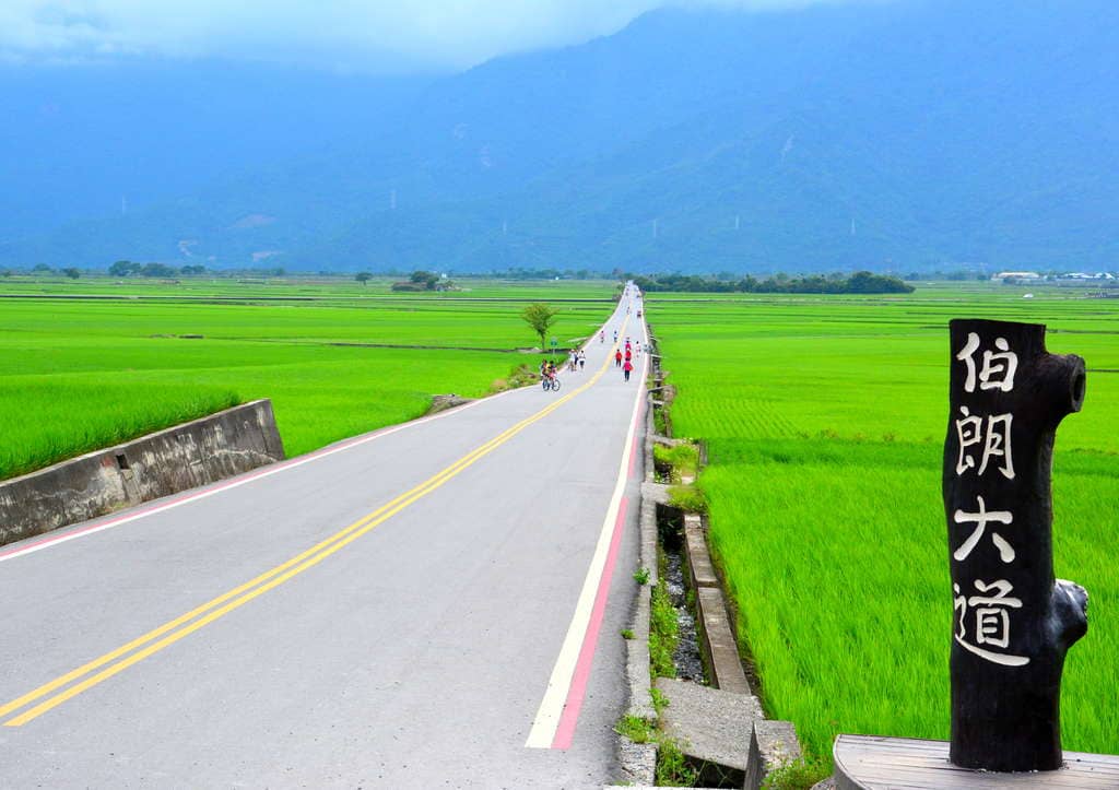 台東池上伯朗大道